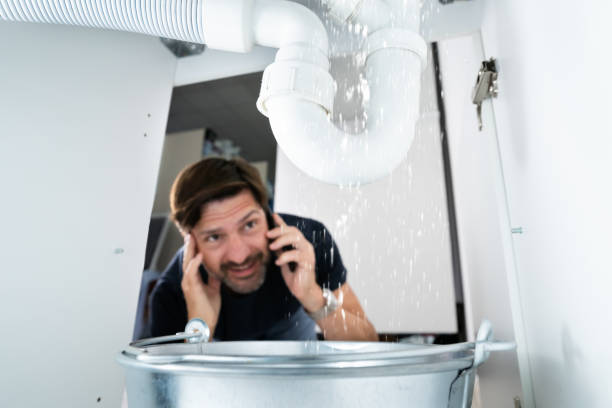Best Clogged Drain Plumber  in Whitestown, IN