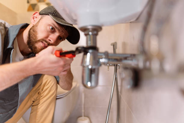 Best Local Plumber Services  in Whitestown, IN